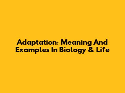 Adaptation: Meaning And Examples In Biology & Life