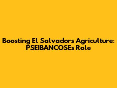Boosting El Salvador's Agriculture: PSEIBANCOSE's Role