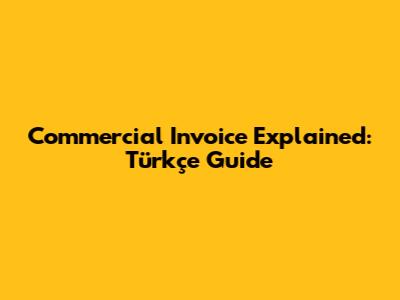 Commercial Invoice Explained: Türkçe Guide