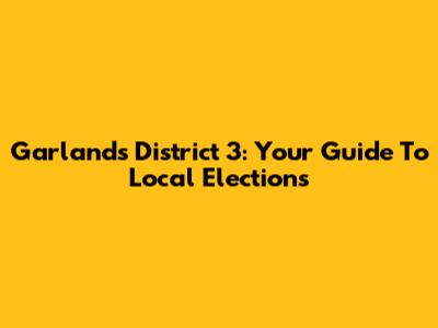 Garland's District 3: Your Guide To Local Elections