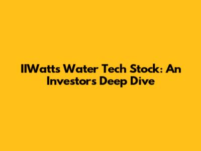 IIWatts Water Tech Stock: An Investor's Deep Dive