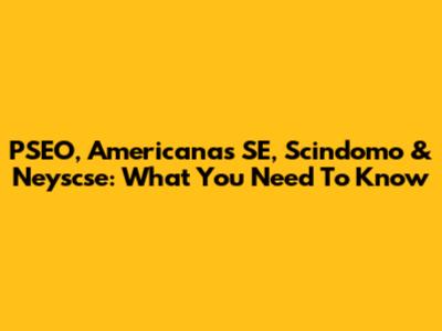 PSEO, Americanas SE, Scindomo & Neyscse: What You Need To Know