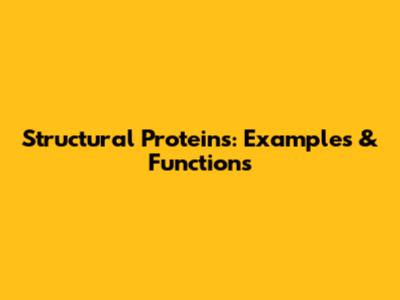 Structural Proteins: Examples & Functions